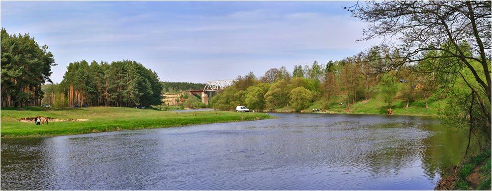 Скоморохи з panoramio.com - Скоморохи