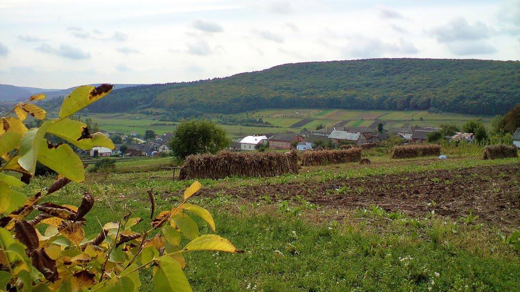 Рогачин з panoramio.com - Рогачин