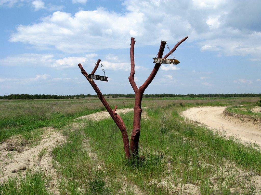 Василівка з panoramio.com - Василівка