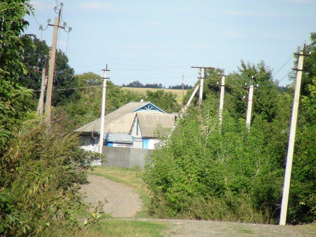 Люлинці з panoramio.com - Люлинцы