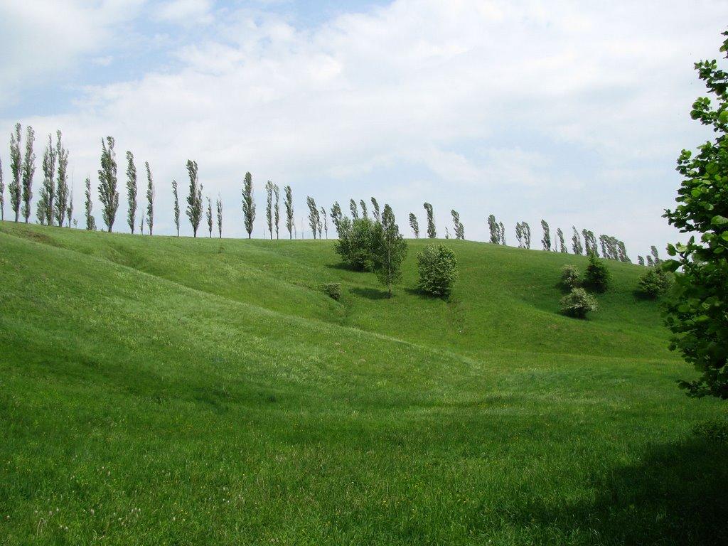 Краснокутськ з panoramio.com - Краснокутск