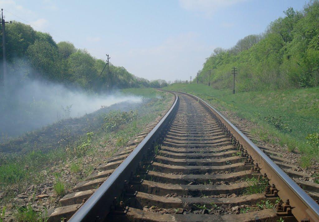 Велика Медведівка з panoramio.com - Велика Медведівка