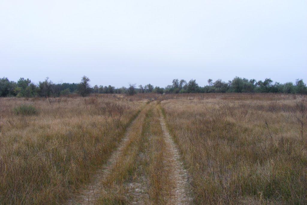 Стара Збур'ївка з panoramio.com - Stara Zburyivka