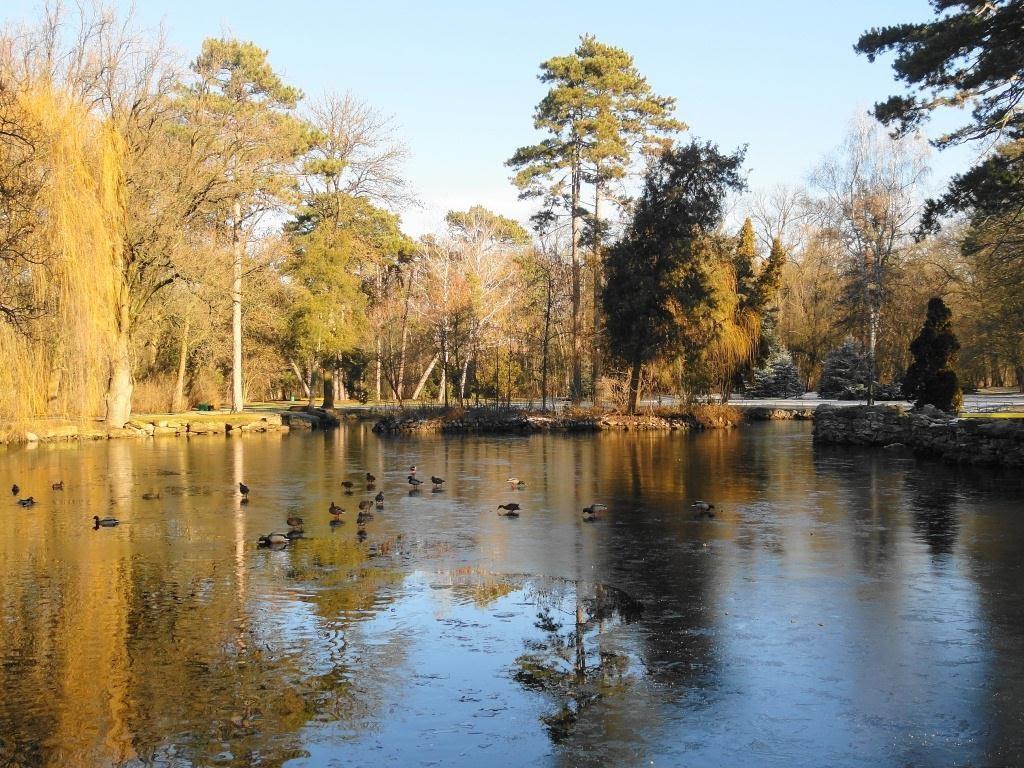 Асканія-Нова з panoramio.com - Асканія-Нова