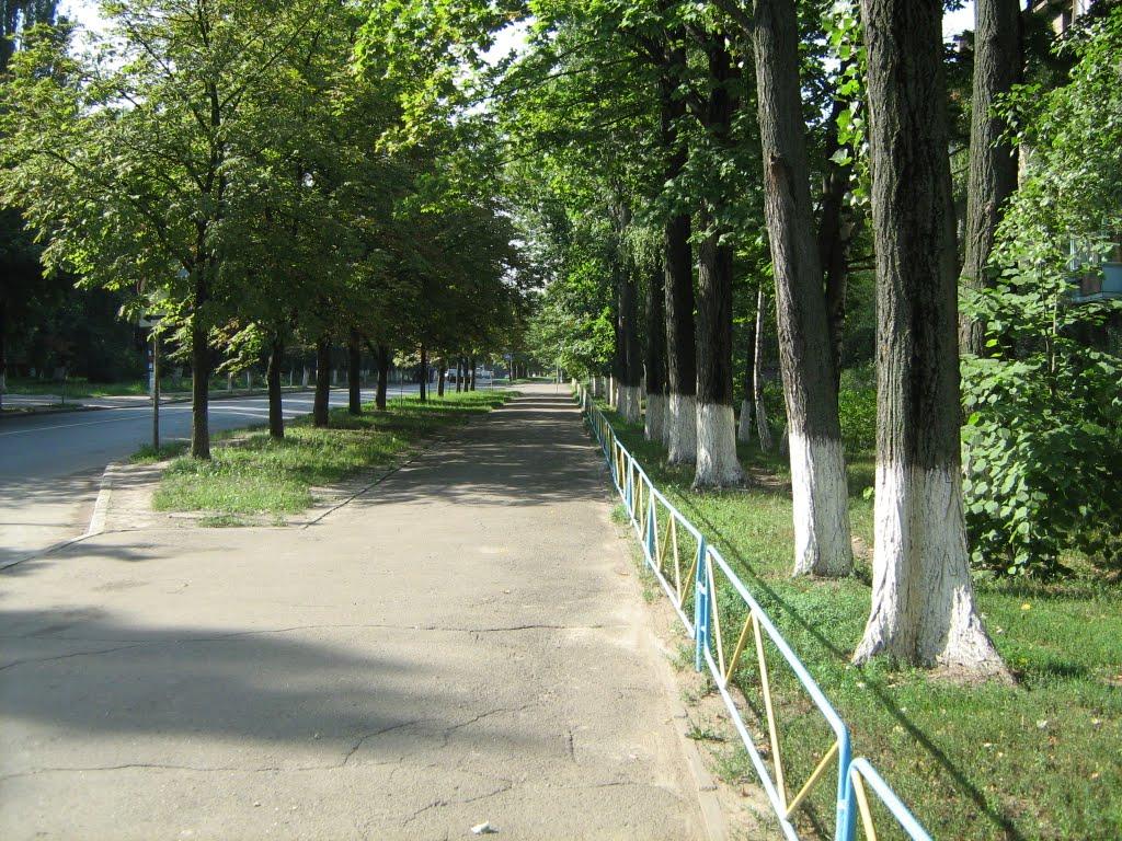Коцюбинське з panoramio.com (ч.3) - Коцюбинское