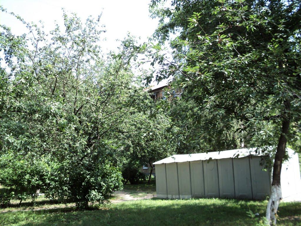 Вишневе з panoramio.com - Вишневое