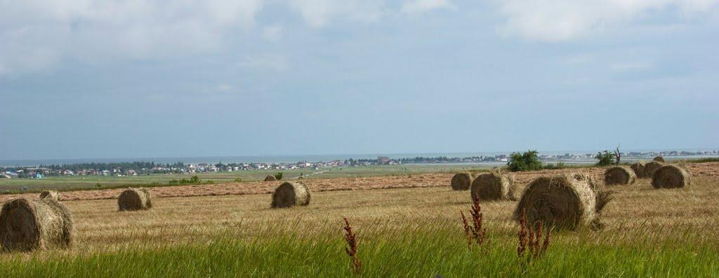 Азовське з panoramio.com - Азовське