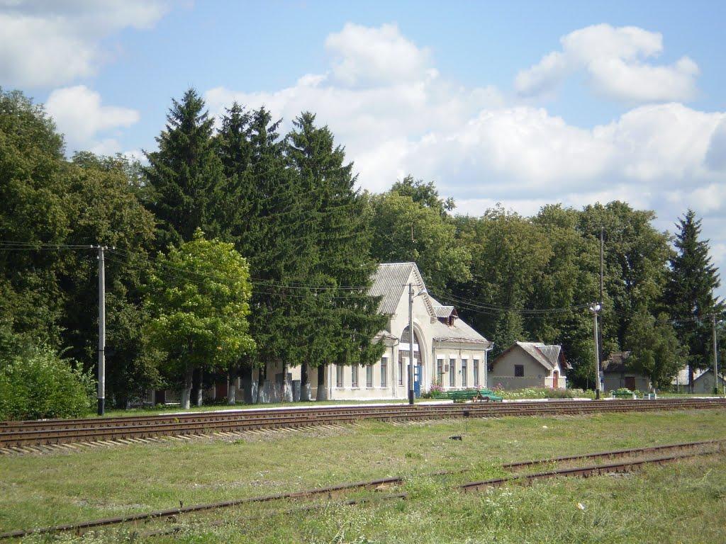 Пашківці з panoramio.com - Пашковцы