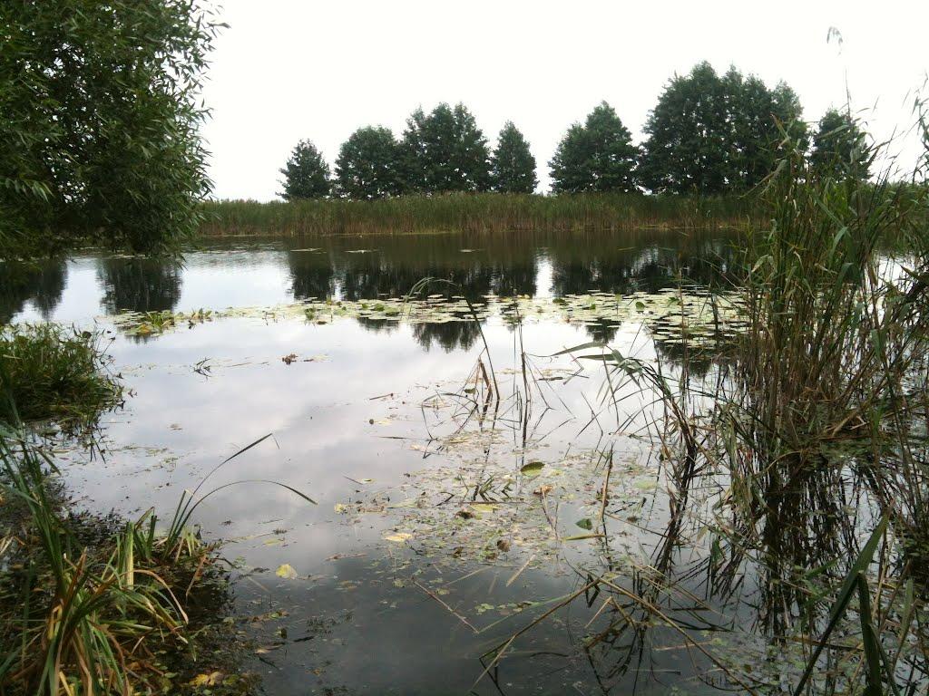 Любитове з panoramio.com