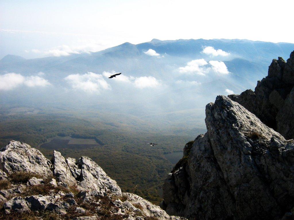 Розовий з panoramio.com (ч.2) - Розовый