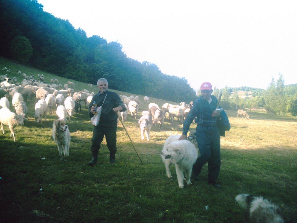 Яблунівка з panoramio.com - Яблоновка