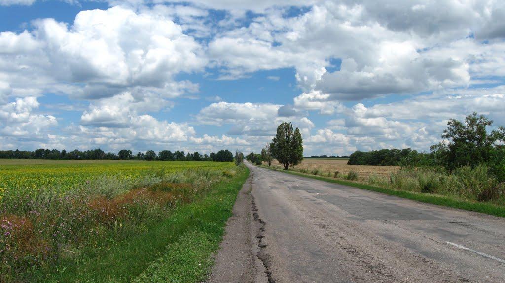 Андріївка з panoramio.com - Андріївка