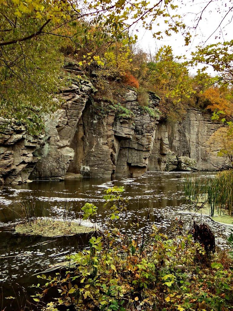 Буки з panoramio.com - Буки