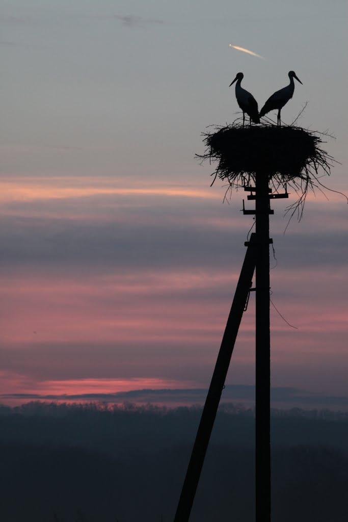 Олефірівка з panoramio.com - Олефірівка