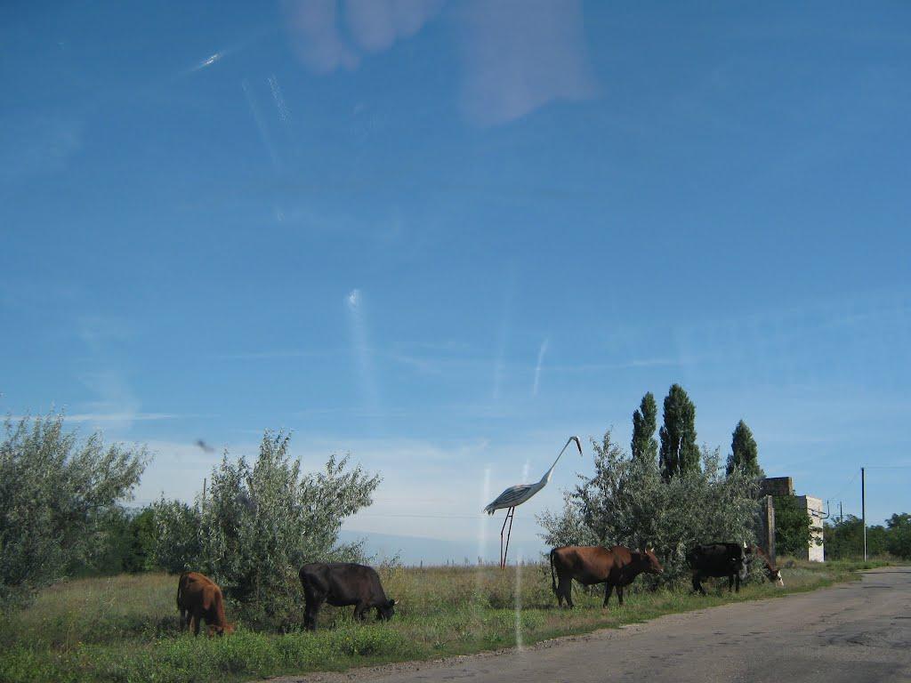 Устинівка з panoramio.com - Устинівка