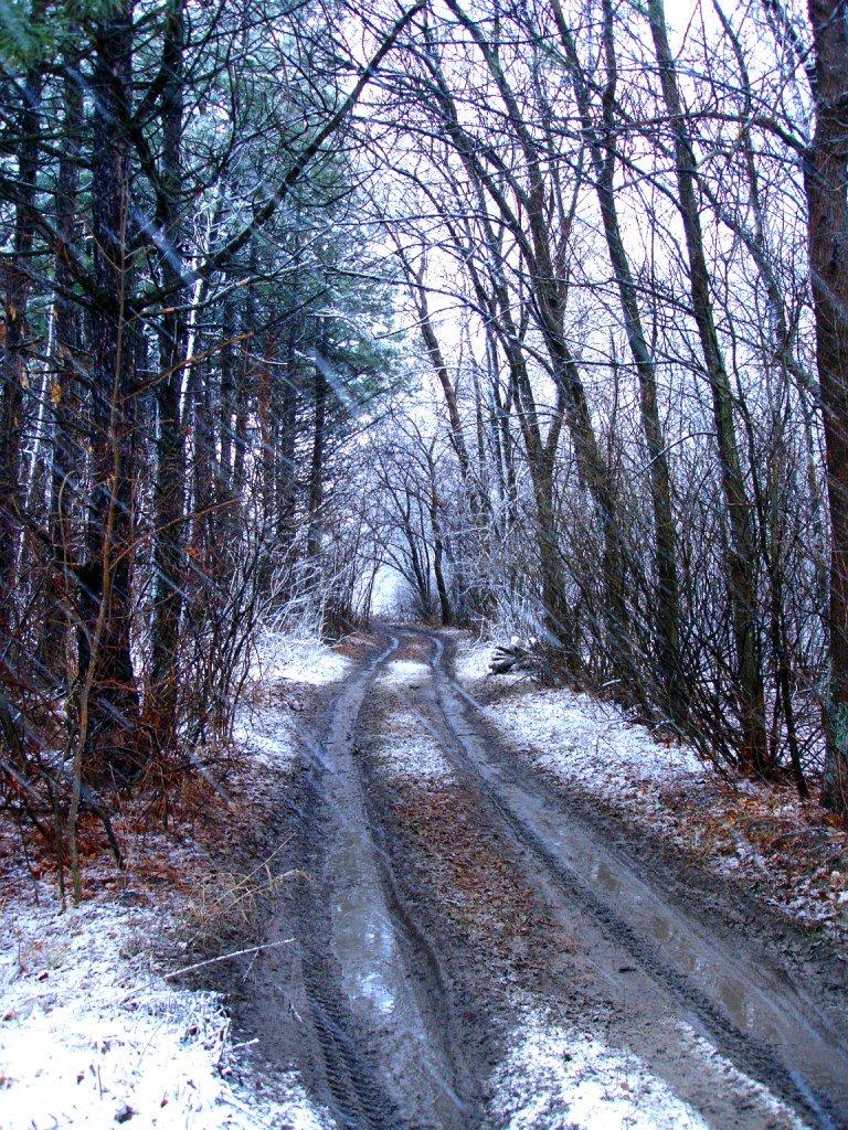 Грибуваха з panoramio.com - Грибуваха