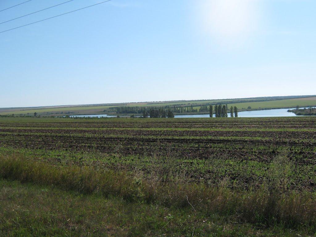 Березуватка з panoramio.com - Березуватка