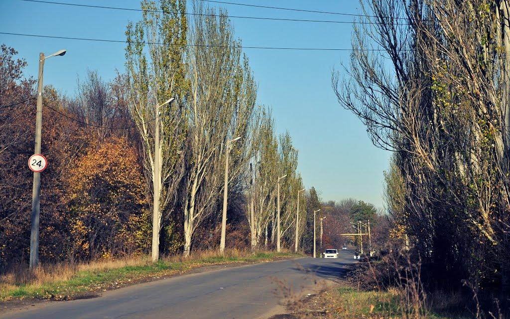 Колосникове з panoramio.com - Колосниково