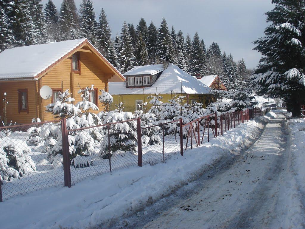 Подобовець з panoramio.com (ч.2) - Podobovets