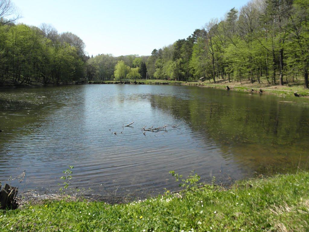 Верхівка з panoramio.com - Верхівка