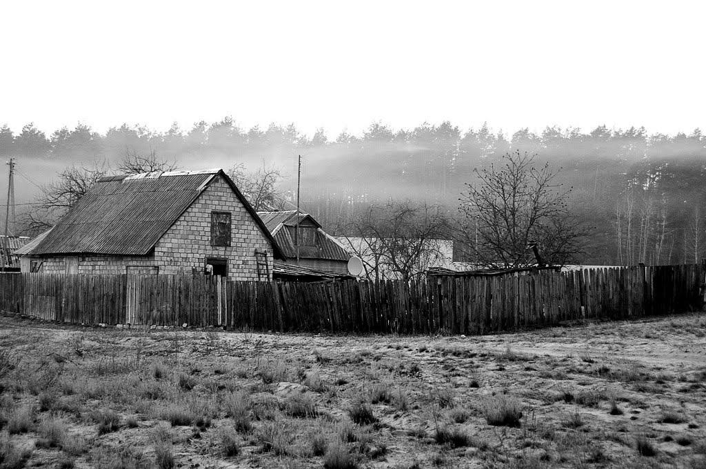 Дзвінкове з panoramio.com - Dzvinkove