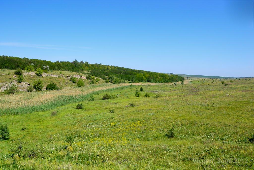 Нововолодимирівка з panoramio.com - Нововолодимирівка