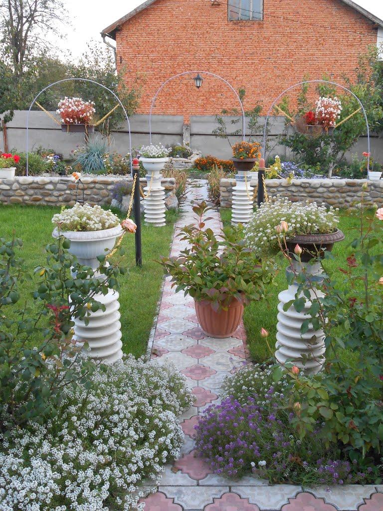 Біла з panoramio.com - Біла