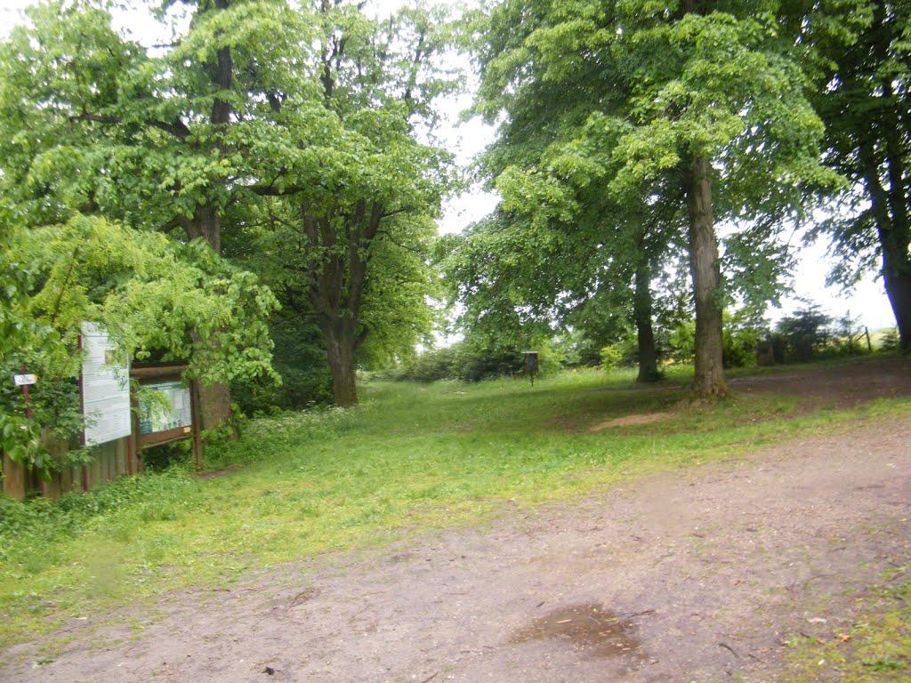 Кропивник з panoramio.com - Кропивник