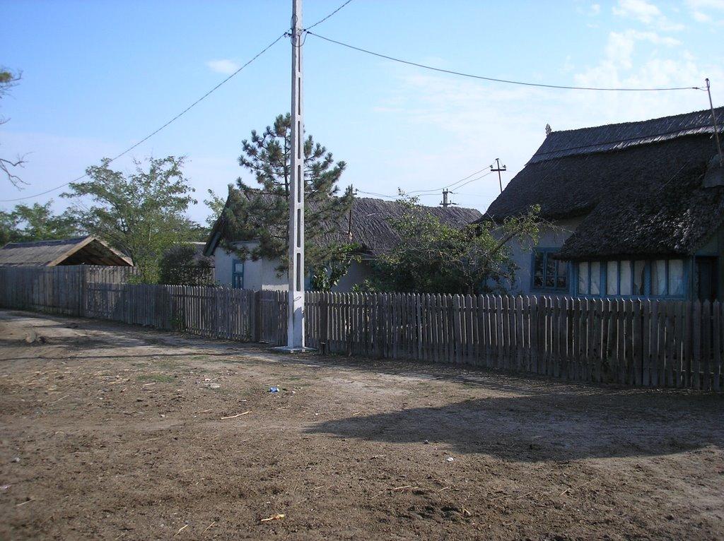 Вилкове з panoramio.com (ч.2) - Vylkove
