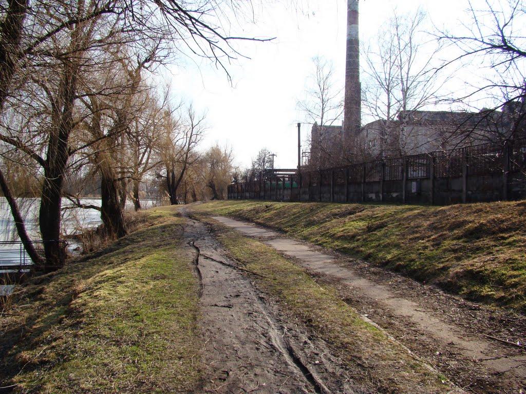 Косарі з panoramio.com (ч.2) - Косари