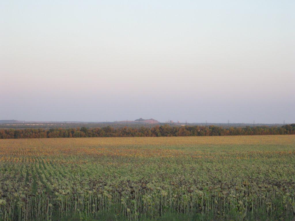 Петровеньки з panoramio.com - Петровеньки