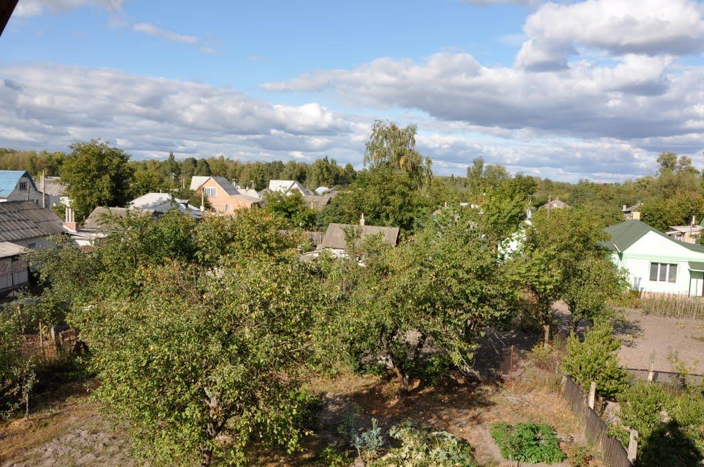 Остер з panoramio.com - Остер