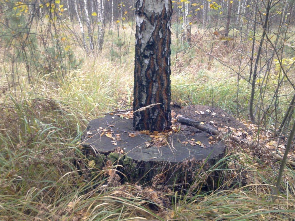 Задорожок з panoramio.com - Задорожок