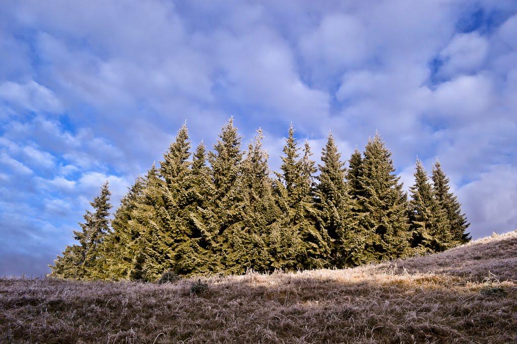 Татарів з panoramio.com - Татаров