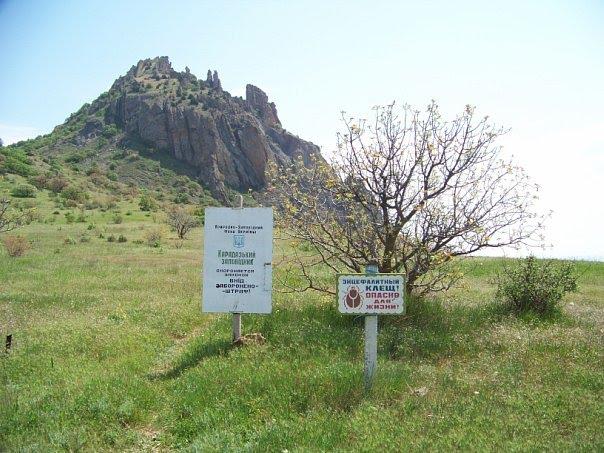 Щебетовка з panoramio.com (ч.2) - Щебетовка