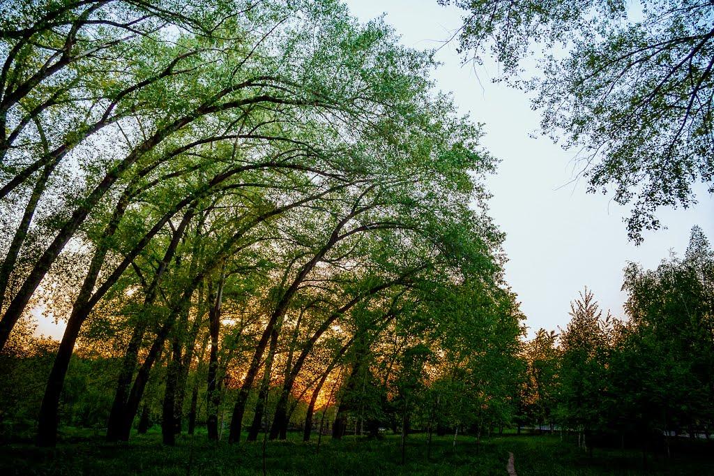 Макіївка з panoramio.com (ч.5) - Макеевка