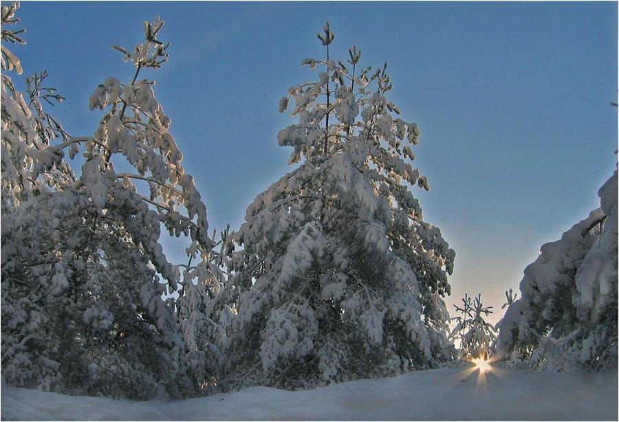 Буки з panoramio.com - Буки