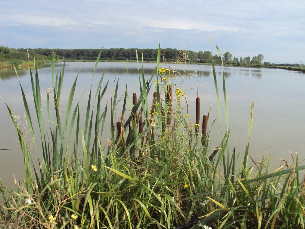 Фертешолмаш з panoramio.com - Фертешолмаш