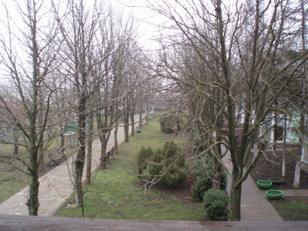 Новохортиця з panoramio.com - Новохортиця