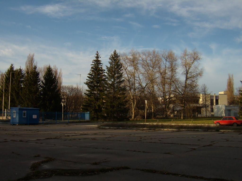 Старий Салтів з panoramio.com - Старый Салтов