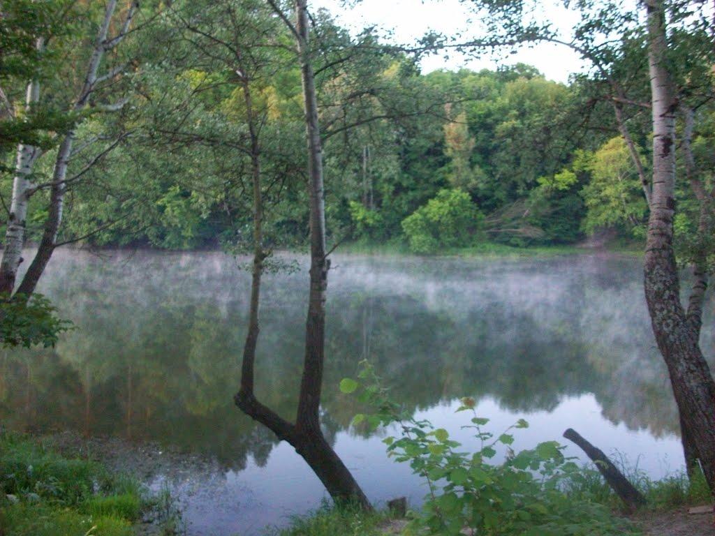 Святогірськ з panoramio.com - Svyatogirsk