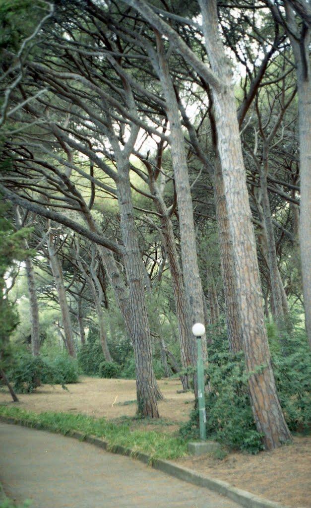 Утьос з panoramio.com - Утес