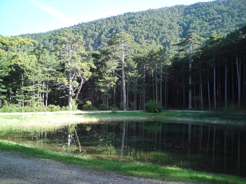 Совєтське з panoramio.com (ч.2) - Советское