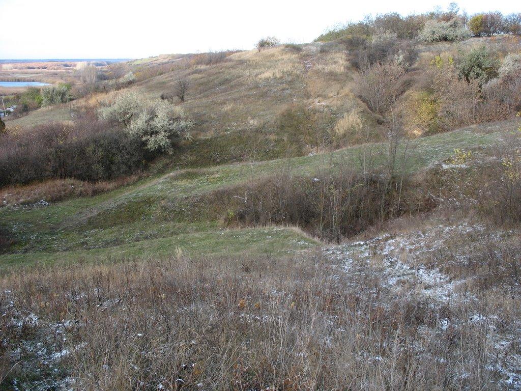 Ряське з panoramio.com - Ряське