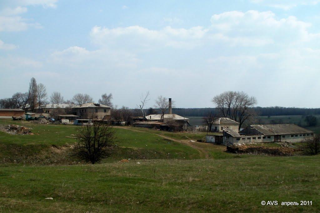 Глинокар'єр з panoramio.com - Глинокар'єр