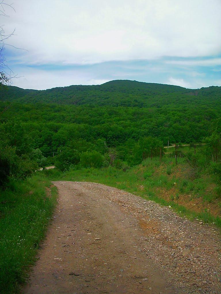 Краснолісся з panoramio.com - Краснолісся