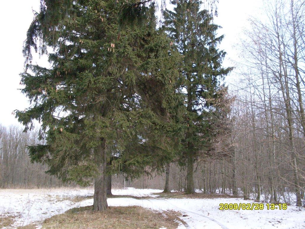 Ладижин з panoramio.com (ч.2) - Ладыжин