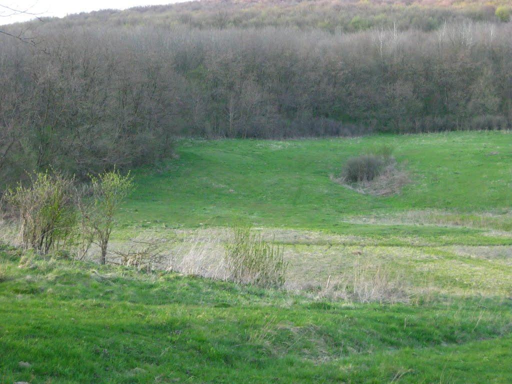 Ванчиківці з panoramio.com - Ванчиківці