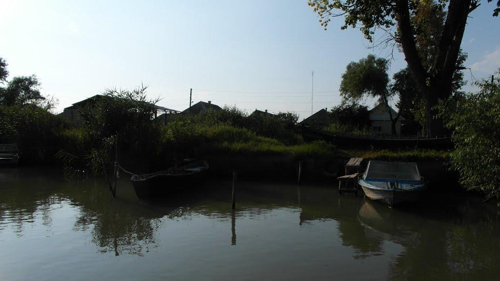 Вилкове з panoramio.com (ч.2) - Vylkove