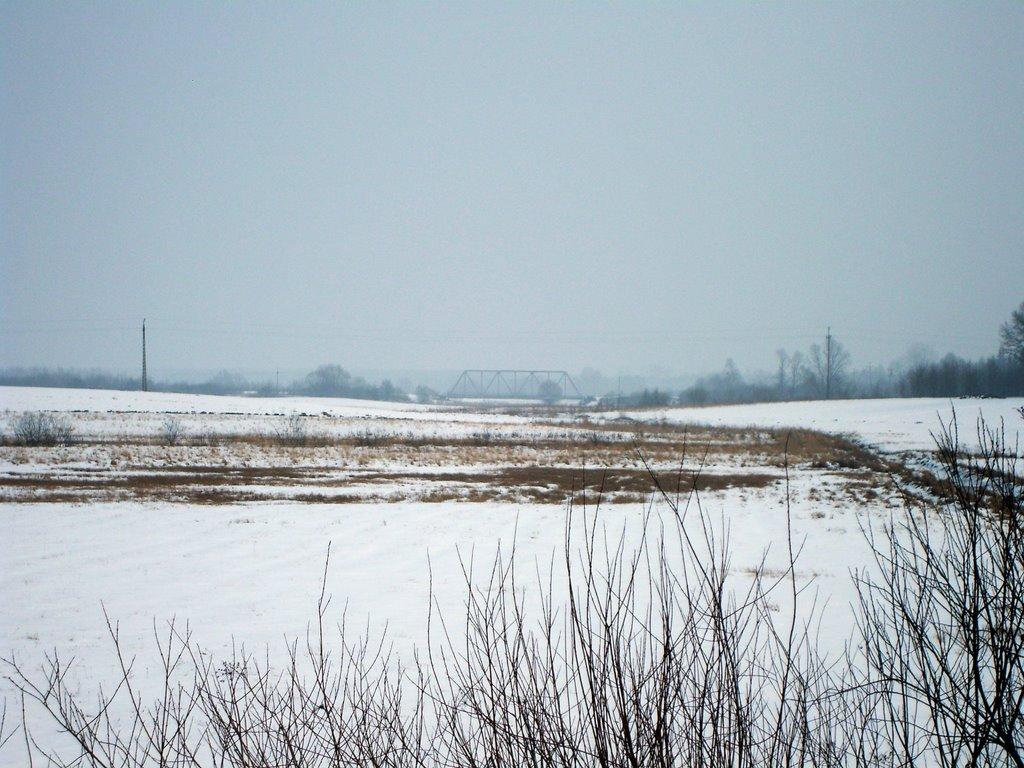 Новоугрузьке з panoramio.com - Новоугрузское